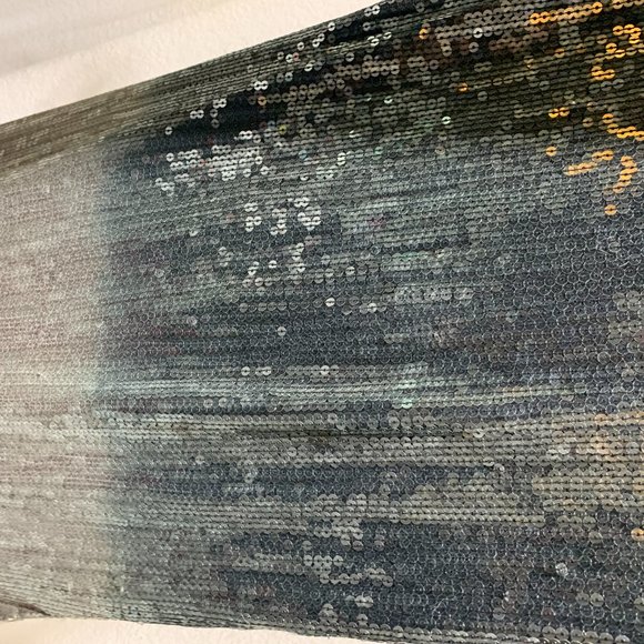 Sequin Chan Luu Maxi Skirt - Picture 3 of 3